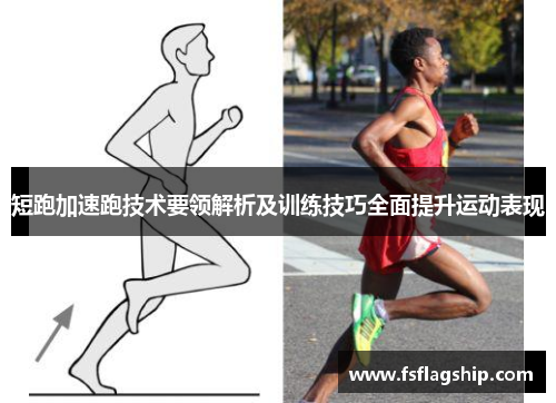 短跑加速跑技术要领解析及训练技巧全面提升运动表现