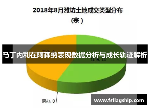 马丁内利在阿森纳表现数据分析与成长轨迹解析